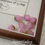 Imported Lampwork Glass Ins Fruit Pulp Raspberry Blueberry Tomato Handmade DIY Beaded Bracelet Necklace Earrings Material - Image 20