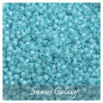 Japan TOHO imported protein filled silver high quality rice beads handmade jewelry bracelet necklace diy beaded material accessories - Image 9